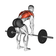 Rowing Yates