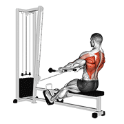 Rowing horizontal