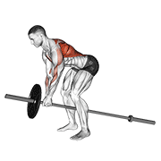 Rowing T bar