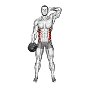 Obliques