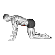 Gainage