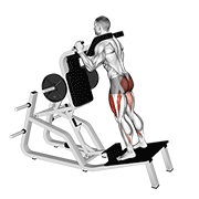 Hack Squat